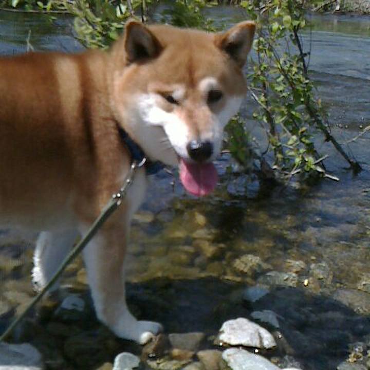 7fcaed96 39d0 44a1 a251 8a21e690b475 1524387334289