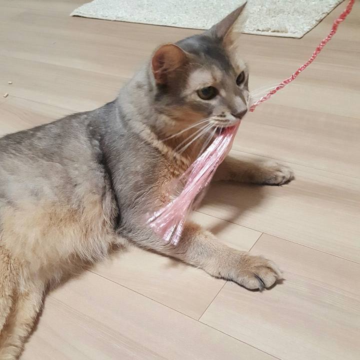 7fcb4555 584e 40c1 a465 6be02fccd6e3 1565871337055