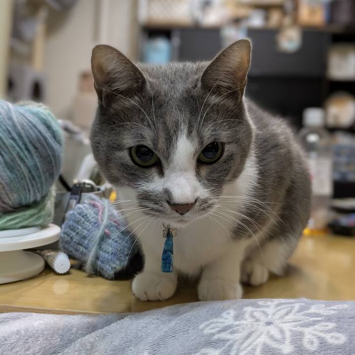 7fcb4e8f 9180 425a b8d0 014151dc59bb 1765546180244