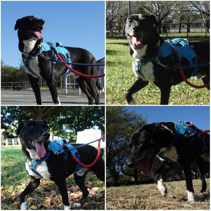 7fcb5b0d 476c 47ca 9821 4d18a4d8990f 1632183366456