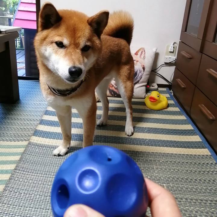 7fcb9f22 1860 41dc b43e a662dca962dd 1588925869732