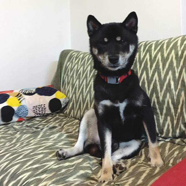 7fcba35d 07b3 4aa0 b1dd 2937e9c861c5 1565438350806