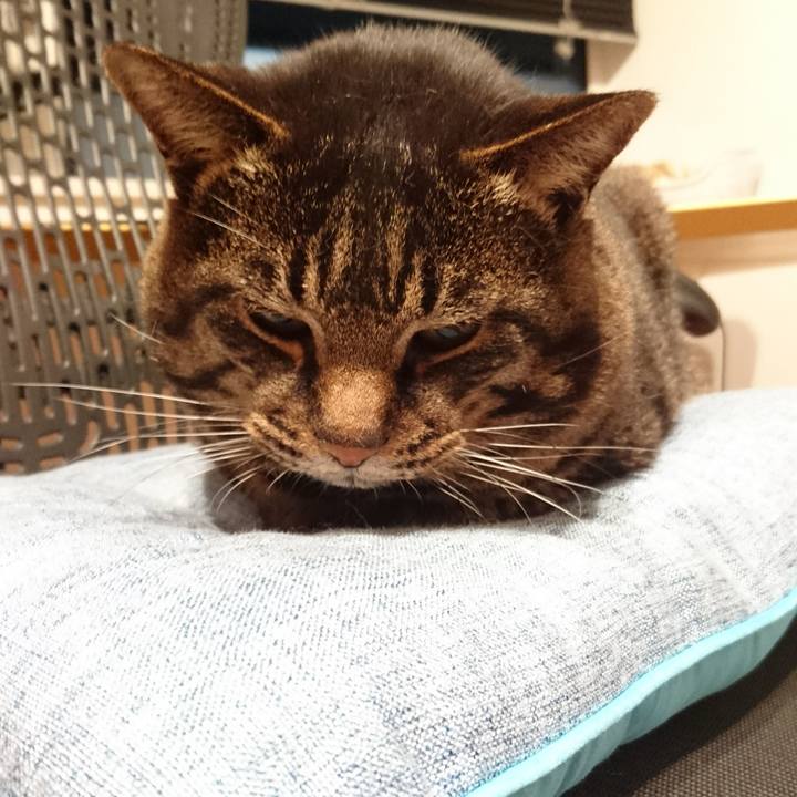 7fcbba9d 5a95 43ea 9df4 2555207e42cd 1542112909137