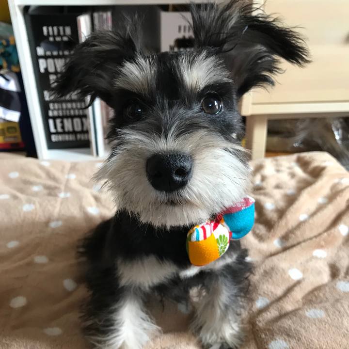 7fcbed8c ad6e 40be 99b5 f5523b9af720 1550983978890