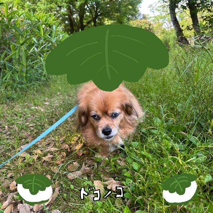 7fcc2bec 3342 4a45 9de9 7c1f6602f8bd 1749416861307