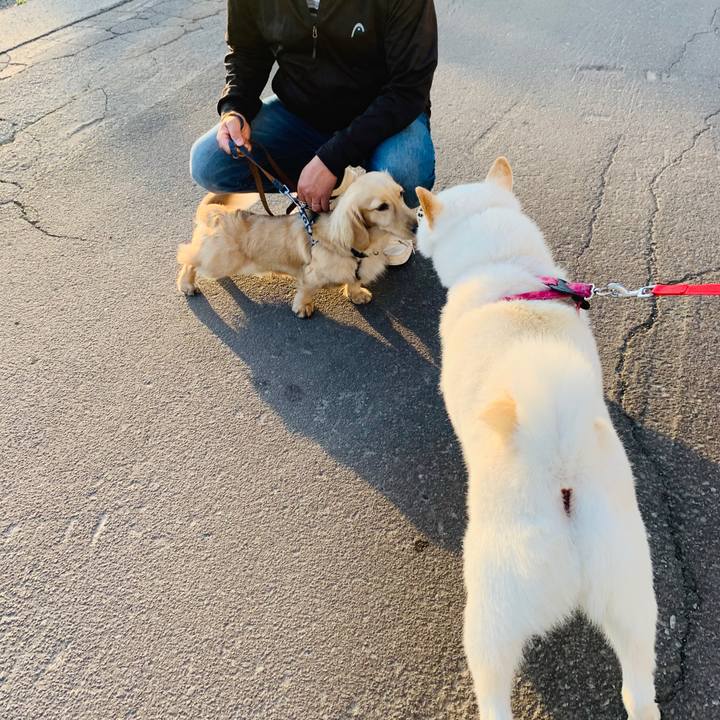 7fcc3ce6 8097 46b8 84dc a311624a7490 1591303601651