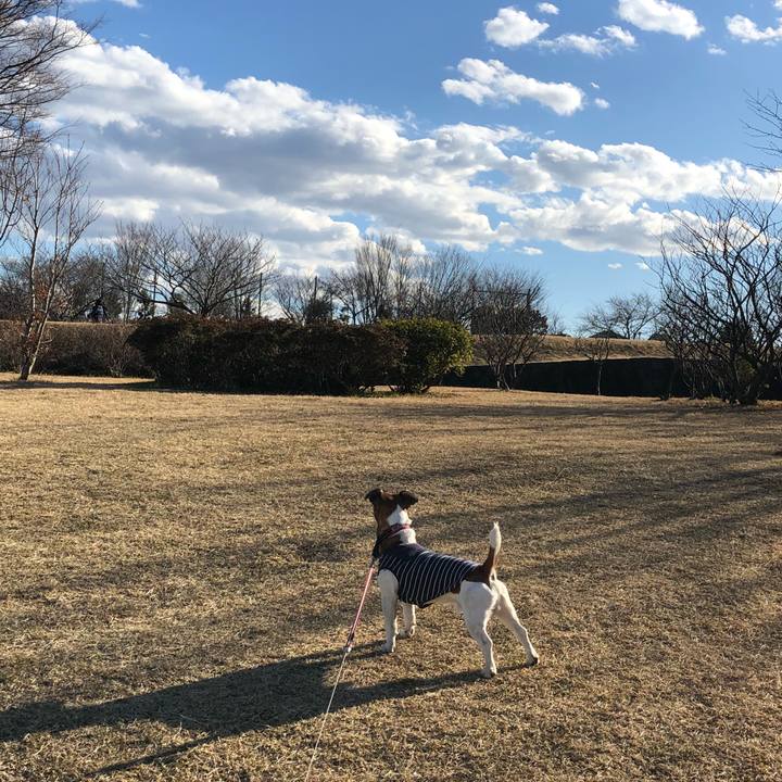 7fcc52a1 cb82 48b2 b509 f7618458b2e3 1517958954717