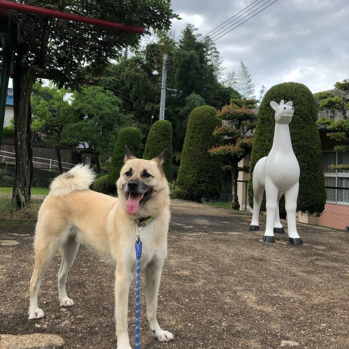 7fcc5616 9531 4f5b 8f07 ddcfe26308a2 1595589913905