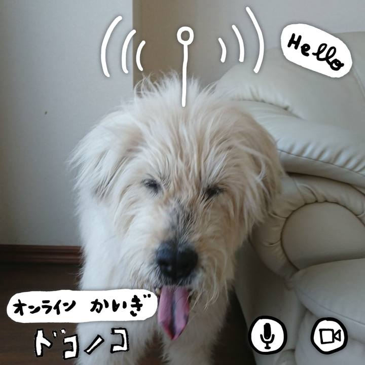 7fcc6869 f452 46e2 8e16 473725405593 1590725313139