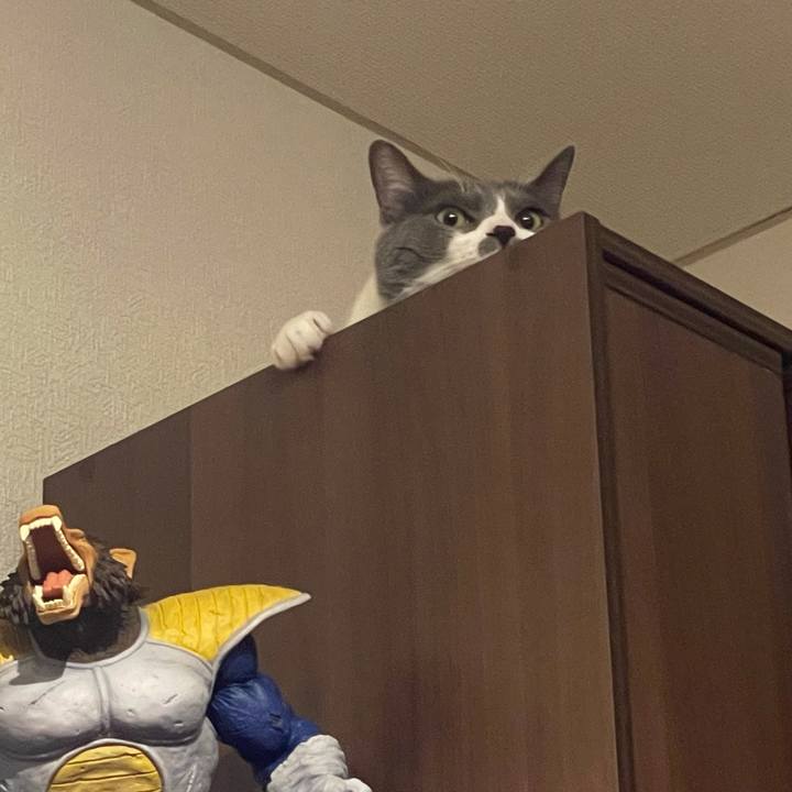 7fcc7a53 651d 40b3 8dca 8304835fa789 1626949466897