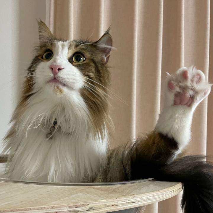 7fcc7e03 ddce 4c2c 8990 fb609a645763 1674510772653