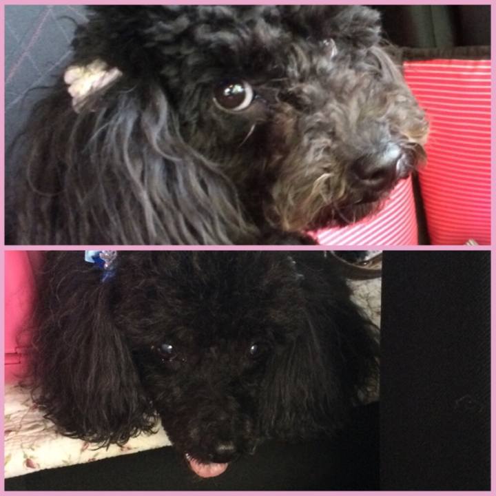 7fcca3c0 5c1e 41b8 9e4b b439f75d2fed 1526444655524