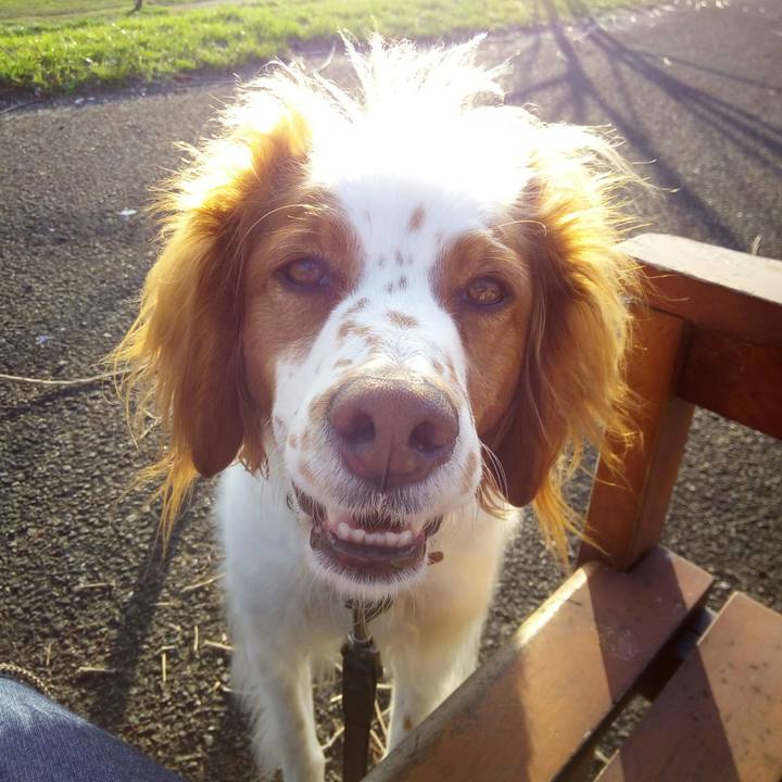 7fcca4a1 c917 4058 a266 7a8716f01737 1521017814513