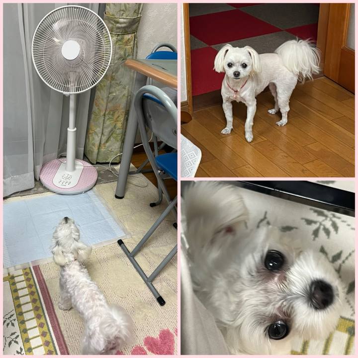 7fccf91c 2473 4f1a ae77 d8b30209b731 1718099462509