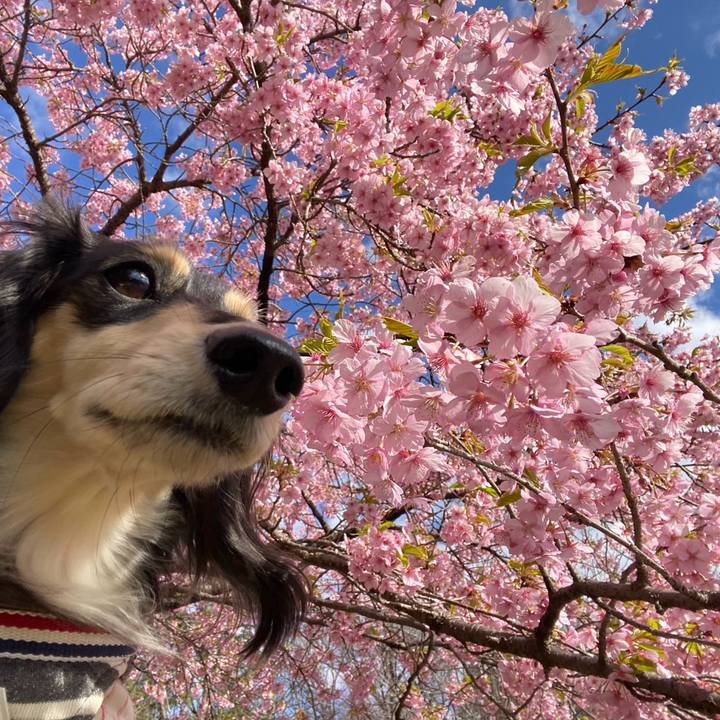 7fcd0b64 c421 488c 8386 91cb14eb2eba 1742504585536