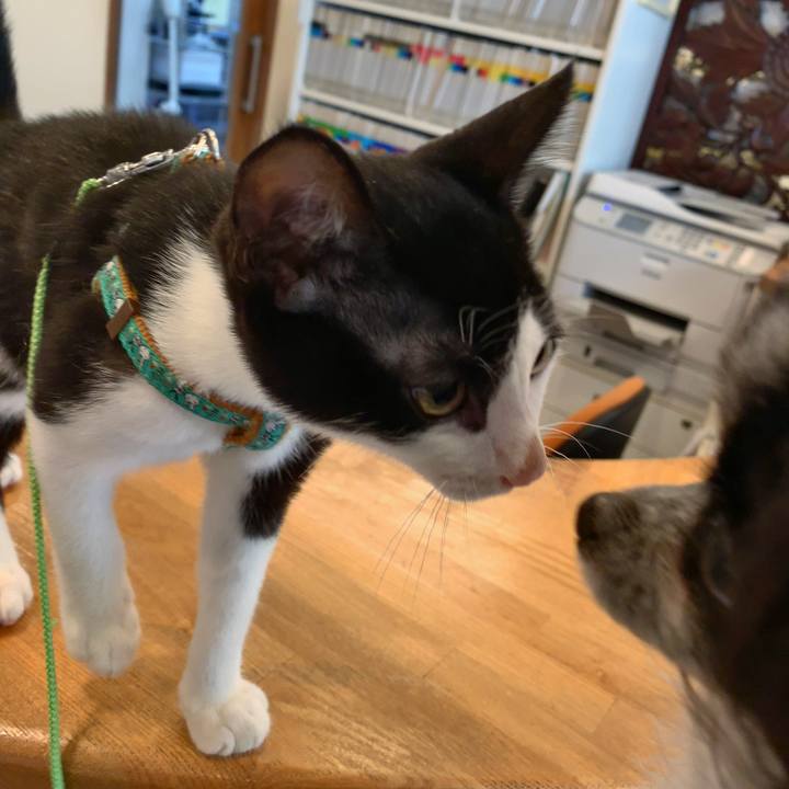 7fcd2eff a183 4328 adff 75c48576519f 1563711802362