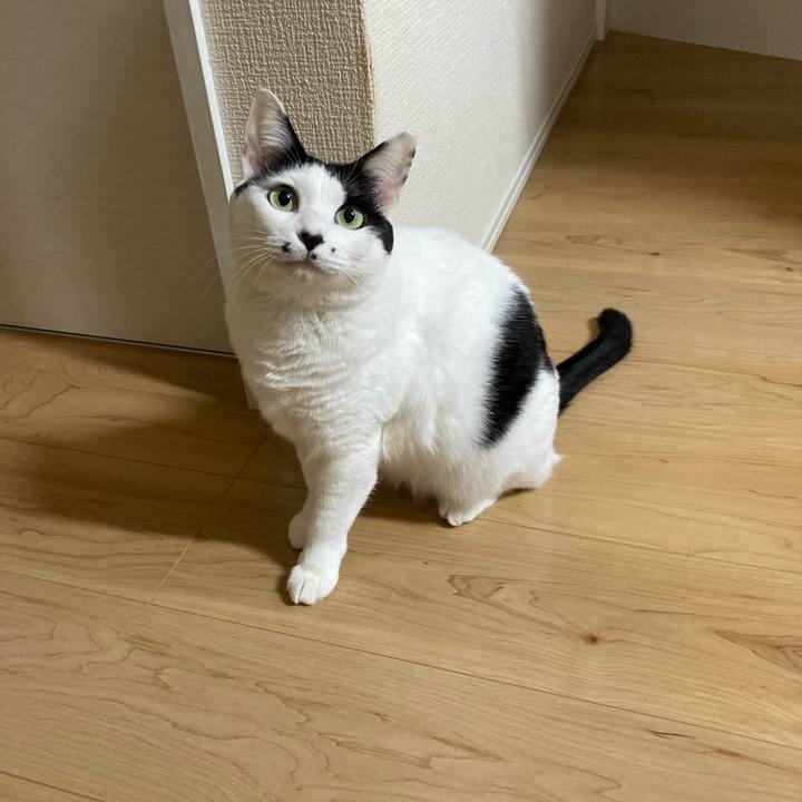 7fcd31f9 ef94 4522 8565 ebd2a1eeb1ef 1761510257918