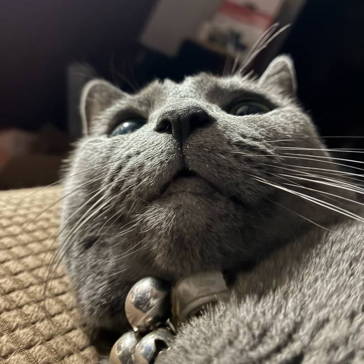 7fcd5fb8 6d25 4c27 9331 6699ab2fd3e2 1763124385639