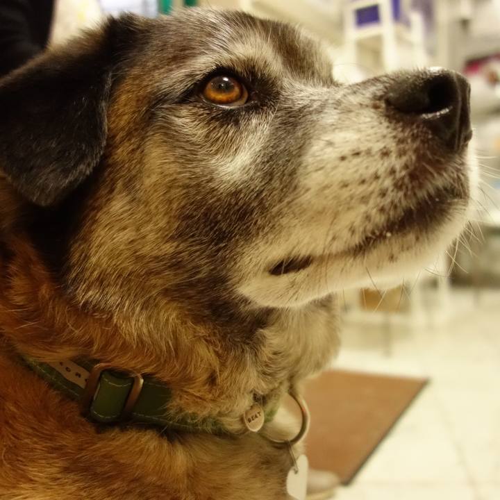 7fcd779f bb1e 4097 9dc8 5a58661eb347 1526135684078