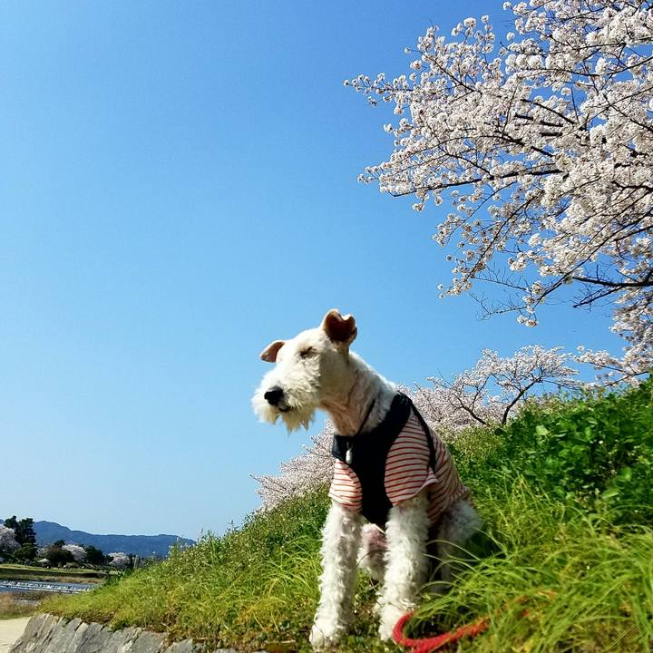 7fcd849b 3d19 4cbf 8efc 256ff2cb68fd 1522476369177