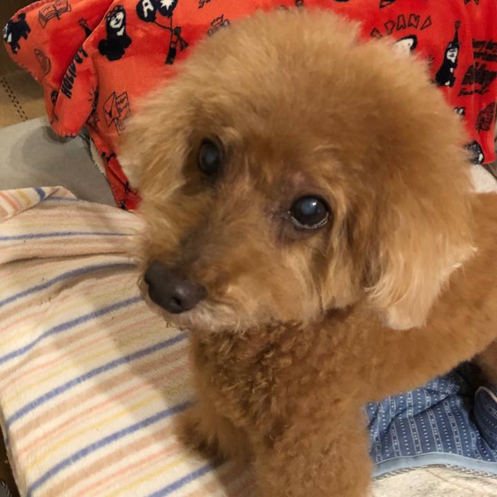 7fcd9b17 3c35 41f7 9c4c b9efb3c4d76a 1594215783094