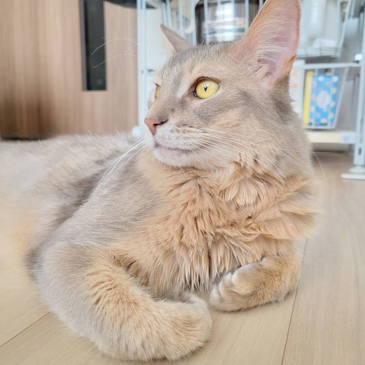 7fcdaff9 dd63 4ba6 a00f 7313c134545b 1670634889274