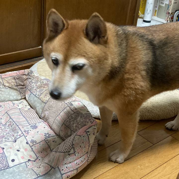 7fcdef28 19ca 4816 ab25 bd1edd80f1ff 1664014116901