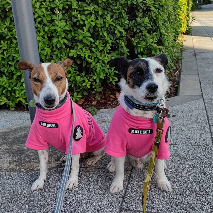 7fcdf50a 804d 40db bec1 f23f39c762d1 1696198133113