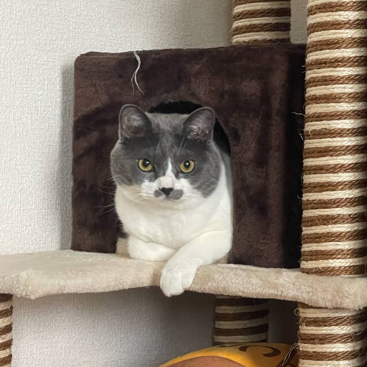 7fce2011 fb40 4276 9393 b0bf27561131 1689918026778