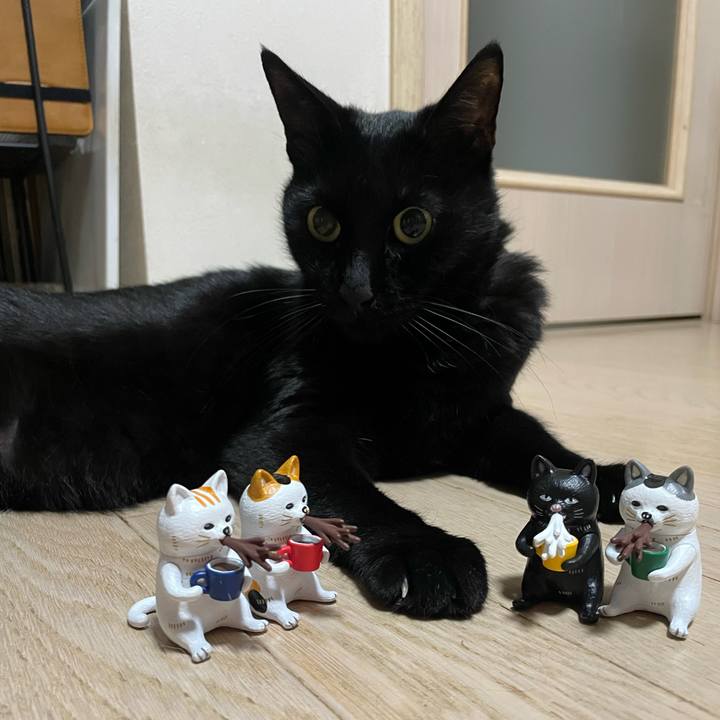 7fce4983 9d89 4a44 85fa 6ef159f53a25 1763903879441