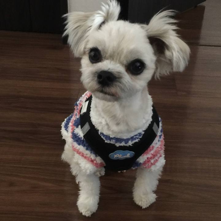 7fce7f0e 8f0c 4a1e b105 0144bc9724ff 1517311712319