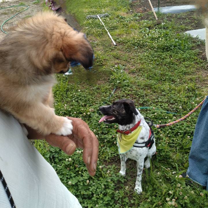 7fce8bb7 c18f 42dc 9f18 87e4f939095e 1720259325675