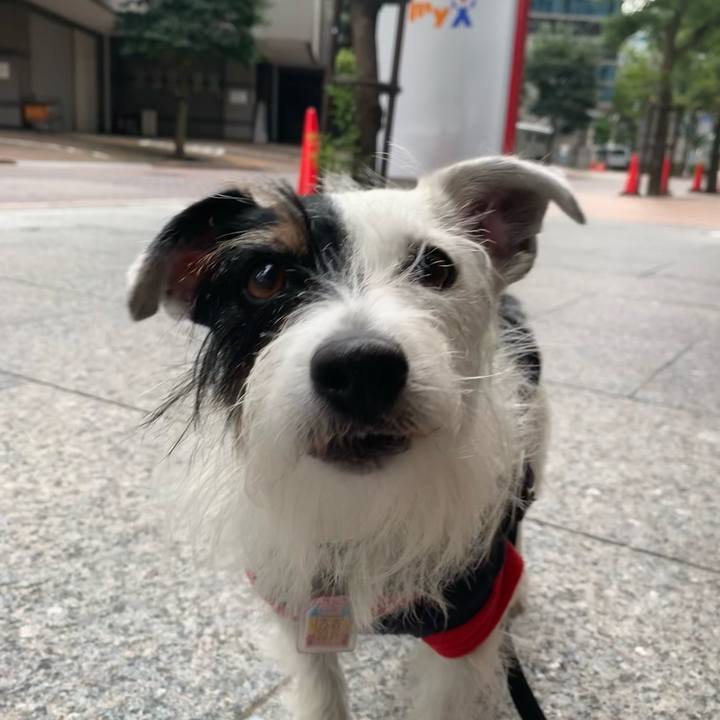 7fce8da0 b7f2 4e94 8ecd 096b5c14e843 1665286595486