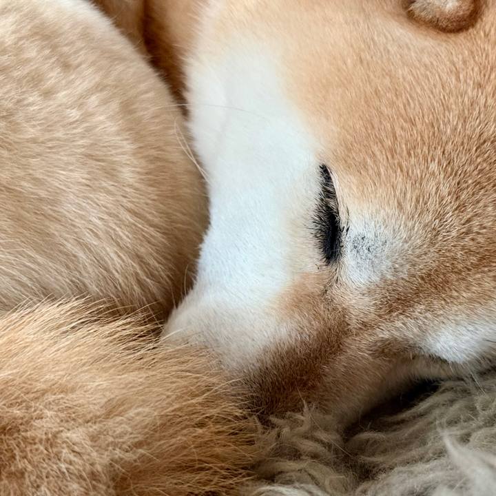 7fcea842 0189 471f b589 2720b0fab65a 1774509684692