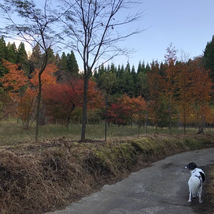 7fceac1b 47fa 40fe aa7f 989b2610f82d 1509751447094