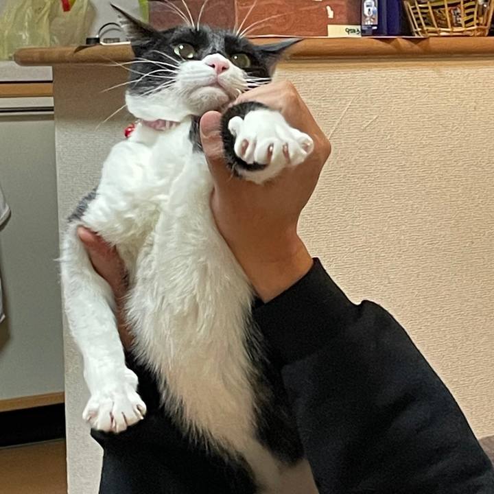 7fceb59b d1bf 429d 98a7 9c10d7698cb1 1641133851721