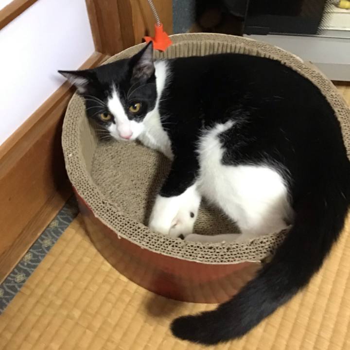 7fcec972 82b1 4db5 a108 e8b1836e8877 1635152441795