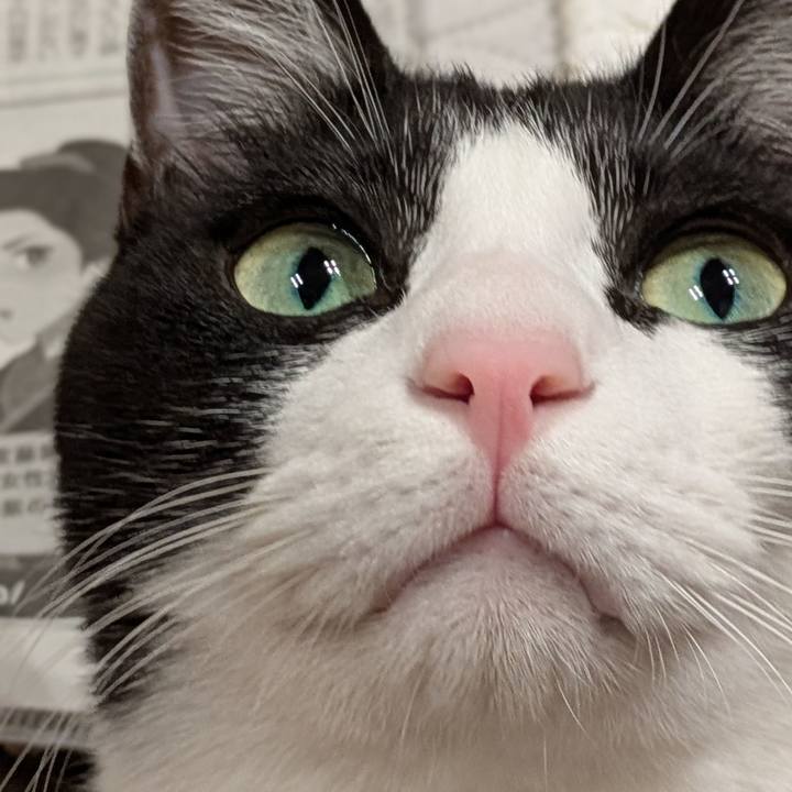 7fcedeaf b5e7 4985 a72d c5089b0c5f28 1762514768770