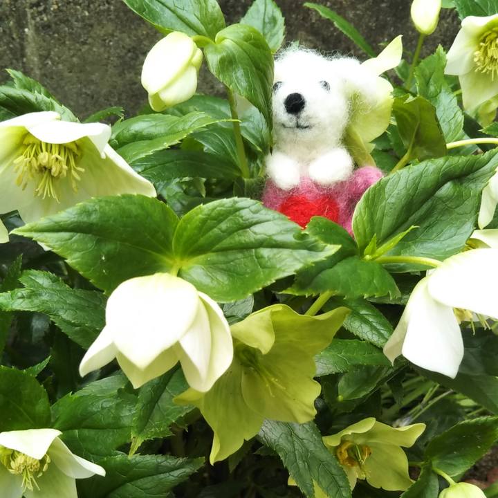 7fcf0273 754b 4090 bff4 0587b7d16b0e 1554946643341