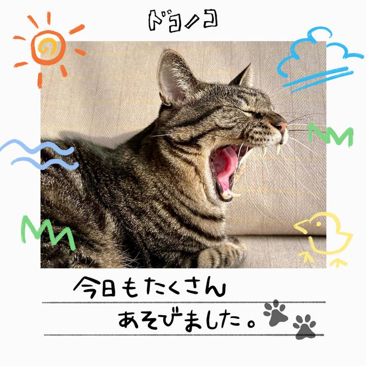 7fcf1e55 5b3e 4349 a75a 0dcd822172e6 1755090141385