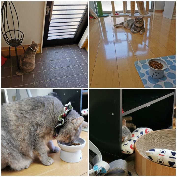 7fcf4866 3b36 48e6 b175 6cc21ddba4d1 1659450666283