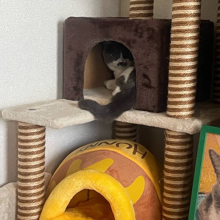 7fcf4a09 8111 4ed0 84a1 b6636a797f25 1753685696430