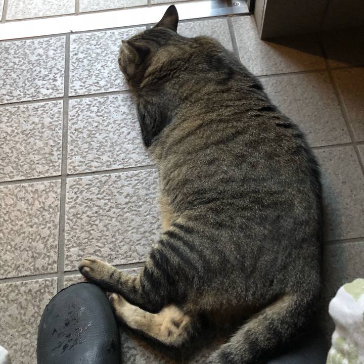 7fcf7212 54cf 4dbc a384 d682c42a37dc 1535015965967