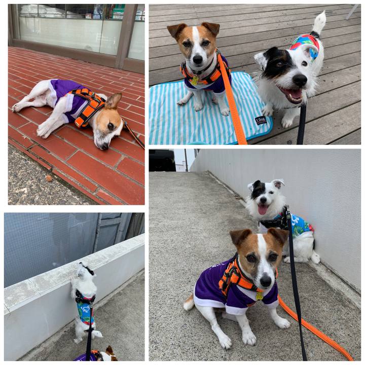 7fcfa171 6eac 4005 b827 416087f13092 1561257387993