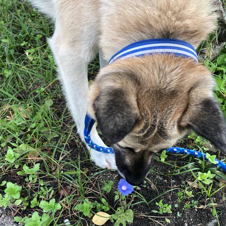 7fcfc5df 5dab 45b8 b95a 031b95b52bdb 1539602088120