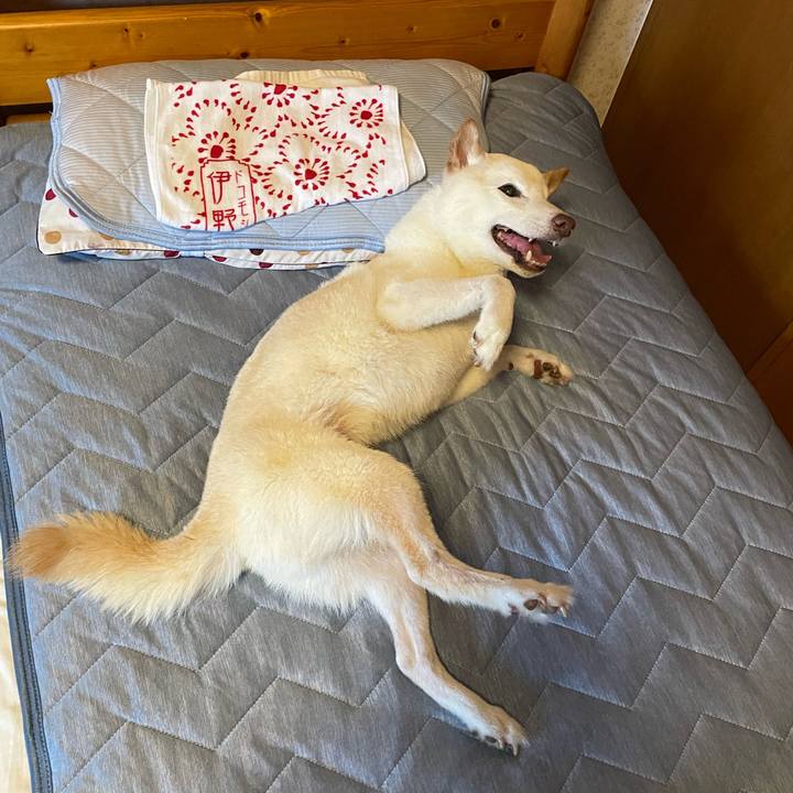 7fcfe707 d12c 4859 a439 286dad967cef 1661689182923