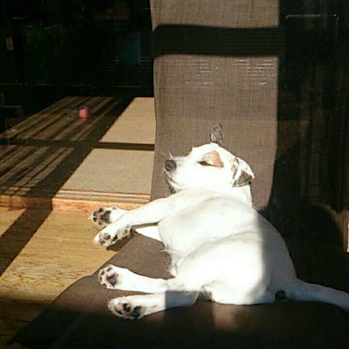 7fd036ea 5f70 4009 902c 445fc9bbff09 1515625986987