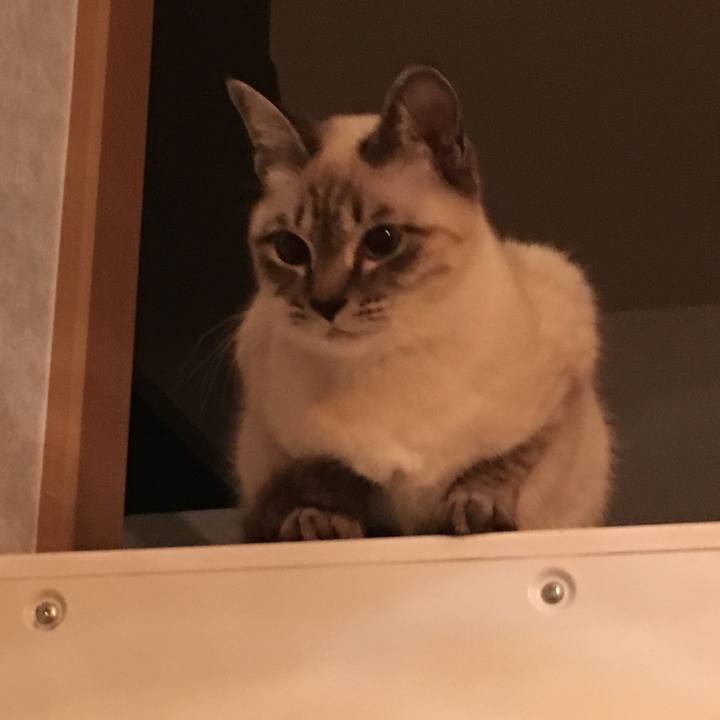 7fd04853 8245 4620 b675 ac0c63ec6fc8 1547728882559