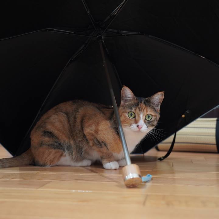 7fd053c9 64a6 4a7e bbca e5e4573f086c 1658221678127