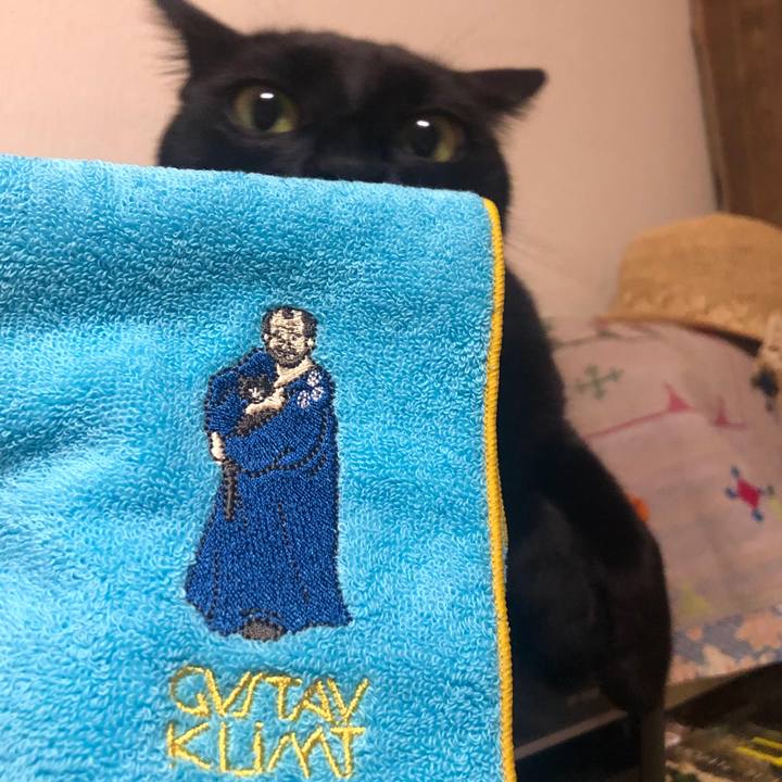 7fd06159 7c24 49eb ae9f 68b983928543 1561552560516